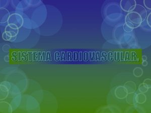 SISTEMA CARDIOVASCULAR Formacin de la sangre y vasos