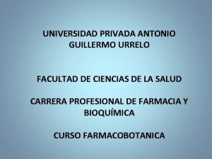 UNIVERSIDAD PRIVADA ANTONIO GUILLERMO URRELO FACULTAD DE CIENCIAS