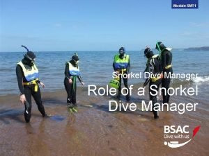 Snorkel Dive Manager SMT 1 Role of a