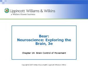 Bear Neuroscience Exploring the Brain 3 e Chapter