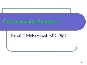 Cadiovascular System1 Faisal I Mohammed MD Ph D