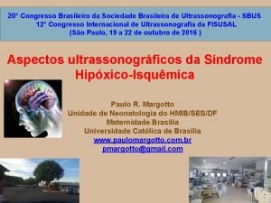 20 Congresso Brasileiro da Sociedade Brasileira de Ultrassonografia