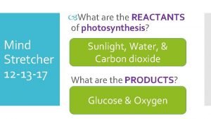 What are the REACTANTS of photosynthesis Mind Stretcher