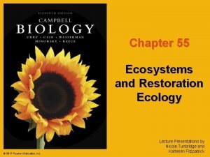 Chapter 55 ecosystems and restoration ecology