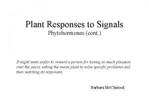 Plant Responses to Signals Phytohormones cont It might