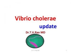 Selective media for vibrio cholerae