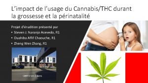 Limpact de lusage du CannabisTHC durant la grossesse