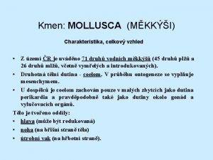 Kmen MOLLUSCA MKKI Charakteristika celkov vzhled Z zem