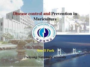 Disease control and Prevention in Mariculture Soo Il