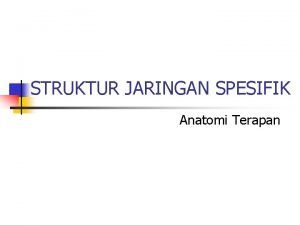 STRUKTUR JARINGAN SPESIFIK Anatomi Terapan STRUKTUR JARINGAN SPESIFIK