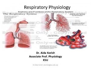 Respiratory airway secretary