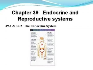 Chapter 39 endocrine and reproductive systems