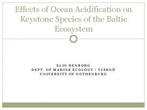 Effects of Ocean Acidification on Keystone Species of