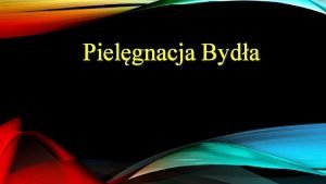 Pielgnacja Byda Utrzymanie prawidowej kondycji i zdrowia zwierzcia