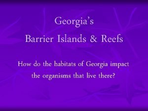 Georgias Barrier Islands Reefs How do the habitats