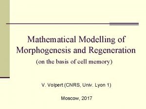 Mathematical Modelling of Morphogenesis and Regeneration on the