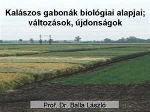 Kalszos gabonk biolgiai alapjai vltozsok jdonsgok Prof Dr