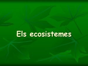 Els ecosistemes Anomenem ecosistemes a cada lloc de
