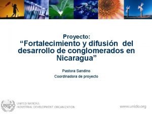 Proyecto Fortalecimiento y difusin del desarrollo de conglomerados