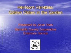 Heirloom Varieties Golden Oldies in the Garden Presented