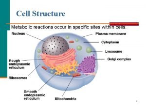 Overall reaction of glycolysis