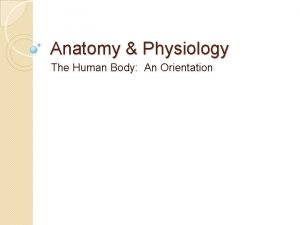 Anatomy Physiology The Human Body An Orientation Introduction