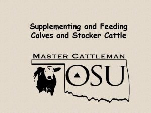 Supplementing and Feeding Calves and Stocker Cattle Discussion