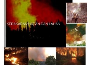 Kebakaran hutan