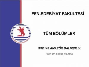 FENEDEBYAT FAKLTES TM BLMLER SSD 143 AMATR BALIKILIK