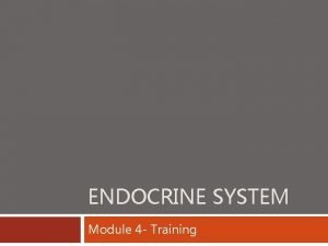 ENDOCRINE SYSTEM Module 4 Training Endocrine System Like