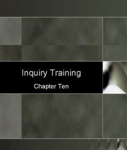 Inquiry Training Chapter Ten Developed by Dick Suchman