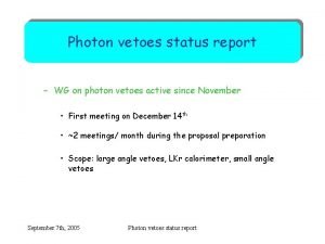 Photon vetoes status report WG on photon vetoes