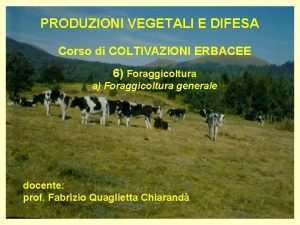 PRODUZIONI VEGETALI E DIFESA Corso di COLTIVAZIONI ERBACEE