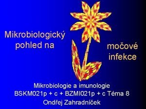 Mikrobiologick pohled na moov infekce Mikrobiologie a imunologie