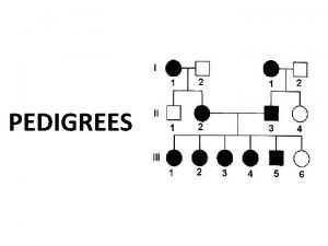 Generations in a pedigree