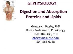 Lipid digestion and absorption