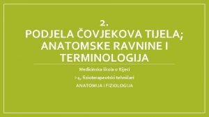 Transverzalna ravnina
