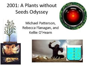 2001 A Plants without Seeds Odyssey Michael Patterson