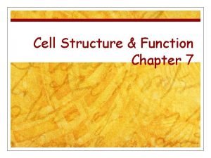 Cell Structure Function Chapter 7 Life is Cellular