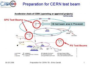 Preparation for CERN test beam H 6 test