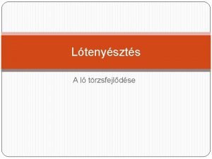 Ltenyszts A l trzsfejldse A lflk trzsfejldsnek lpsei