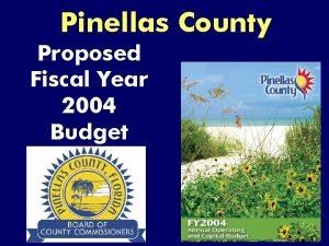 Pinellas County Proposed Fiscal Year 2004 Budget PINELLAS