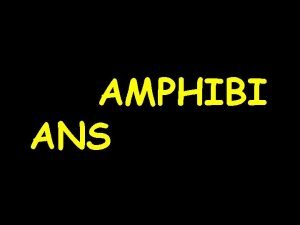 AMPHIBI ANS Amphibians Amphibians are tetrapods four foot