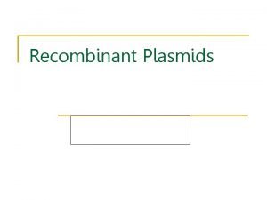 Recombinant Plasmids What is a plasmid n n