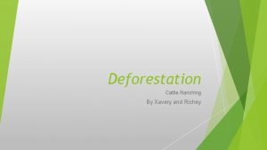 Deforestation Cattle Ranching By Xavery and Richey What