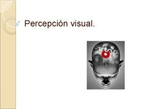 Percepcin visual Definicin La percepcin constituye un momento