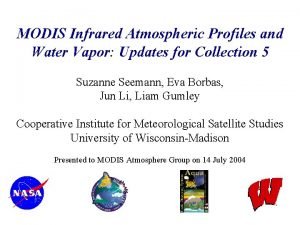 MODIS Infrared Atmospheric Profiles and Water Vapor Updates