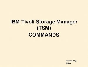 Tivoli storage manager commands