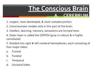 The Conscious Brain A CEREBRUM 1 Largest most