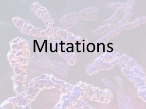 Mutations What is a Mutation A mutation is